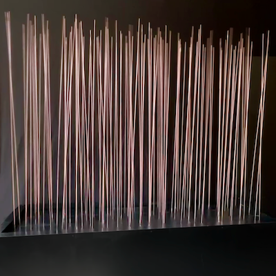 invisible fields